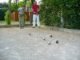 Nos ateliers détentes : La pétanque (c'est pas trop notre (...)